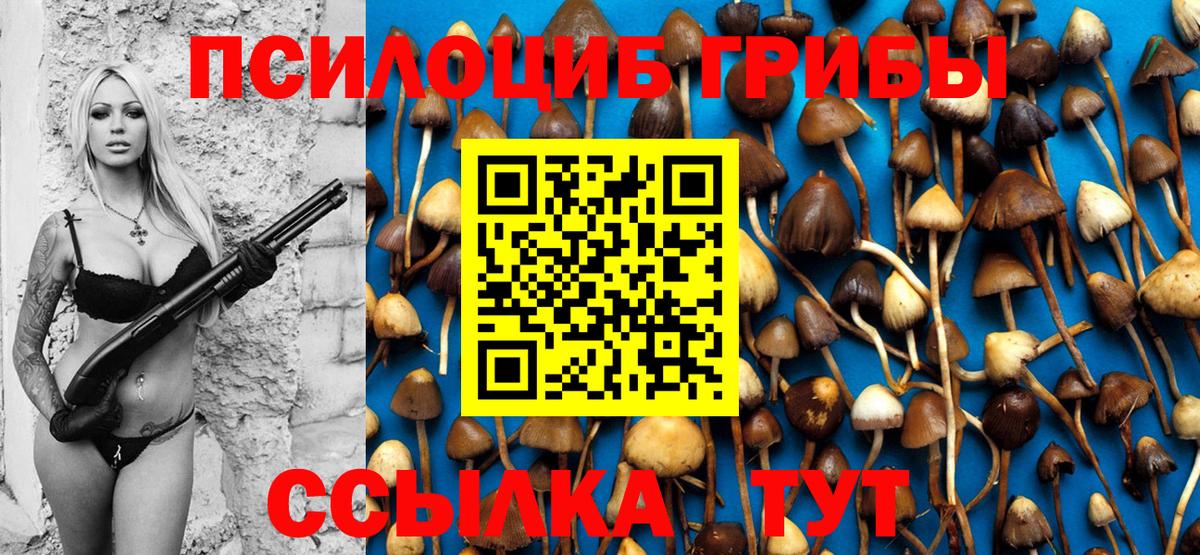 Псилоцибиновые грибы Magic Shrooms Электрогорск