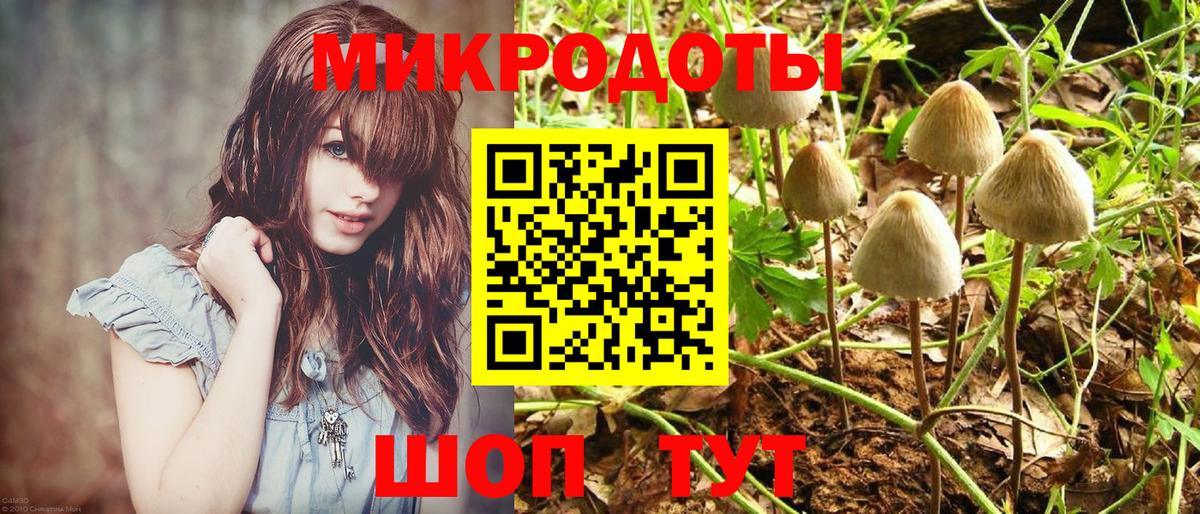 Псилоцибиновые грибы Cubensis  Галлюциногенные грибы прущие грибы  купить   Вход с VPN  Электрогорск 